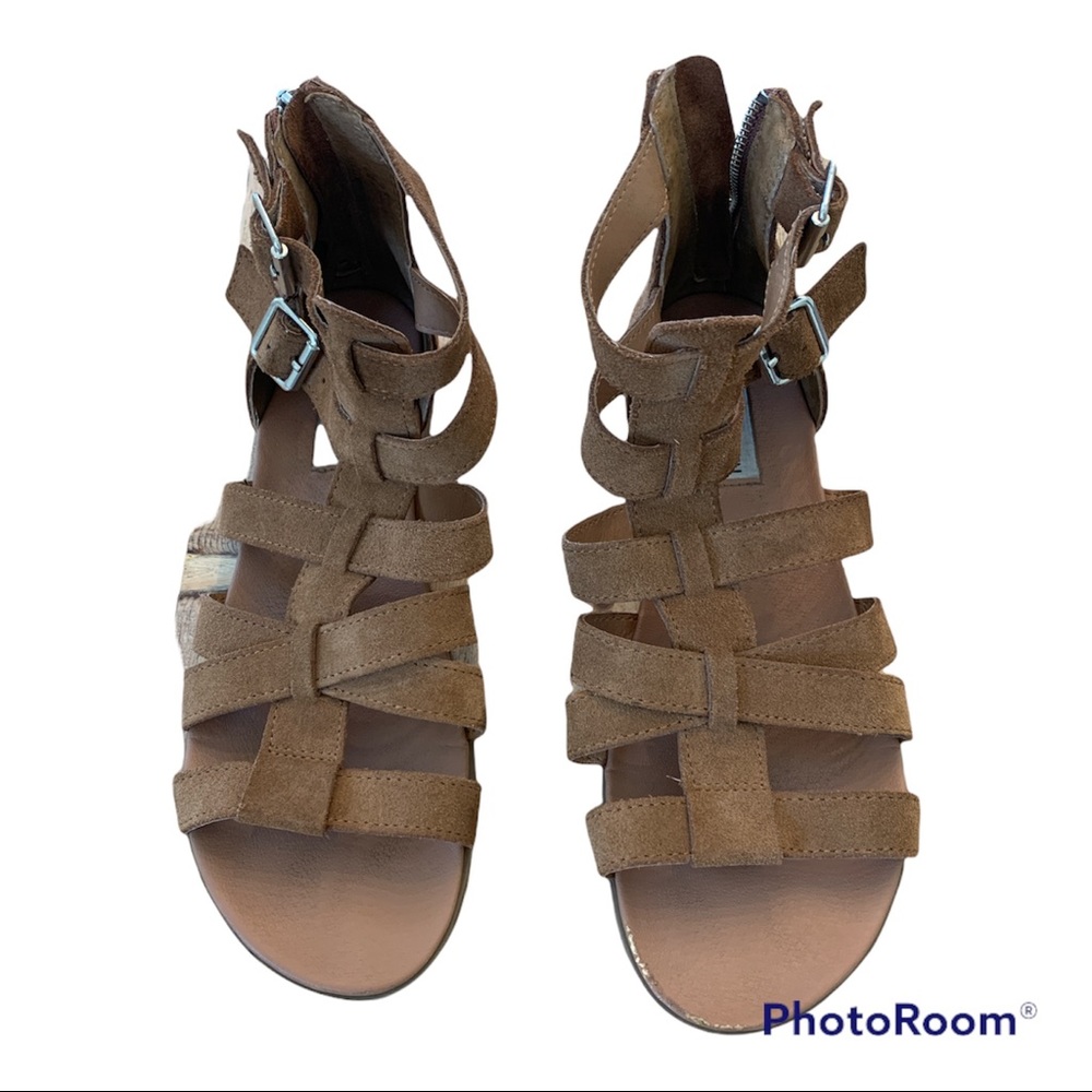 Steve Madden gladiator sandals